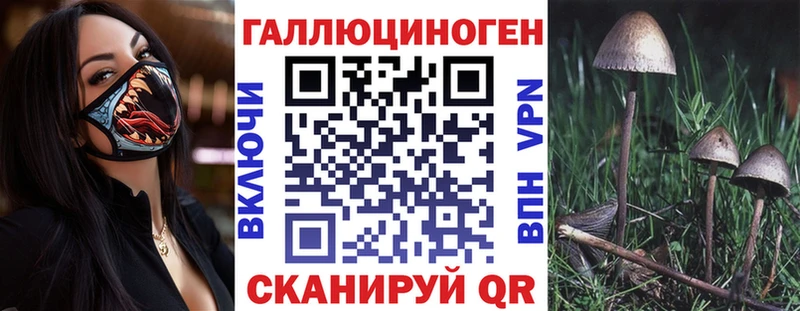 blacksprut ССЫЛКА  Воронеж  Псилоцибиновые грибы Magic Shrooms 